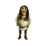 shrek shitpost