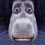 Burro do Shrek