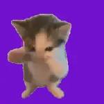 kicau mania 😺 scuba dance 🔥