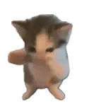 kicau mania 😺 scuba dance 🔥