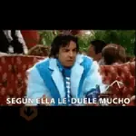 ludovico peluche
