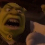 Shrek 🤪