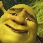 Shrek 🤪