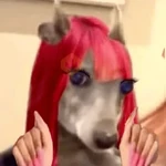 Memes sin texto 5 🫰🏻✨