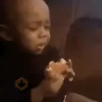 Shrek