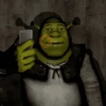 SHREK MEMES