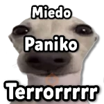 COMBO de Stickers #➋⓿