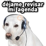 COMBO de Stickers #➋⓿