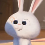 🤍☁️ Snowball ☁️🤍