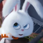 🤍☁️ Snowball ☁️🤍