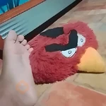 angry birds👂💎Memes🔥