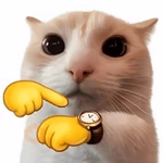 😼🫐 Gatos TikTok 🫐😼