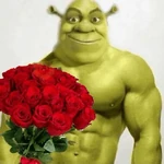 shrek meme
