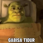 shrek meme