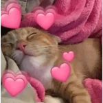 Amor 🩷💞🩷