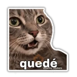 🗣️ Memes Variados 🗣️