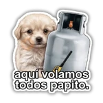 🗣️ Memes Variados 🗣️