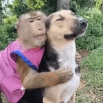 Más y Más Perritos 🐶🐾