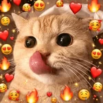 ✨️💖🐱 AMOR | GATOS 🐱💖✨️
