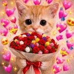 ✨️💖🐱 AMOR | GATOS 🐱💖✨️