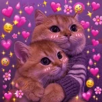 ✨️💖🐱 AMOR | GATOS 🐱💖✨️