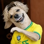 🇧🇷⚽️ BRASIL ⚽️🇧🇷