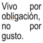 🎯FrasesTok🎯