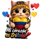 Michi Vamos Colombia!⚽✨🇨🇴