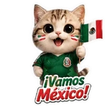 Vamos México ⚽✨🇲🇽
