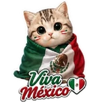 Vamos México ⚽✨🇲🇽