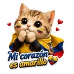 Michis Vamos Ecuador!🇪🇨⚽✨