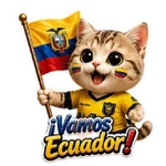 Michis Vamos Ecuador!🇪🇨⚽✨
