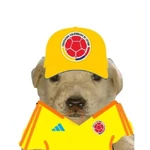 Seleccion de colombia 2026