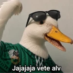 México 🇲🇽 Memes mundial ⚽🥅