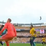 Ecuador Mundial 🇪🇨⚽️✨