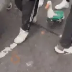 México 2026 Mov 🇲🇽