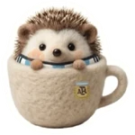 Cute Erizo Argentina 🦔🇦🇷