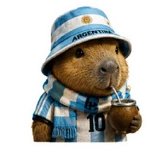 Capybara ARGENTINA 🇦🇷✨🧉