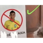 BRASIL X JAPÃO MEMES