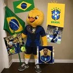 Brasil o melhor