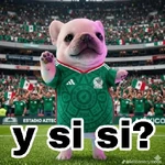 Y si si ? 🇲🇽 Mundial México
