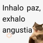 Frases #➍ 📋