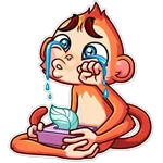 Funny Monkey 