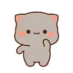 Mochi Mochi Amor✨🐾🐱