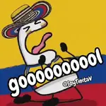 COLOMBIA FLORK