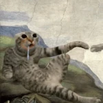 gato babando