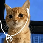 🧿 Gato Music🐱🎶