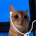 🧿 Gato Music🐱🎶