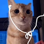 🧿 Gato Music🐱🎶