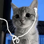 🧿 Gato Music🐱🎶